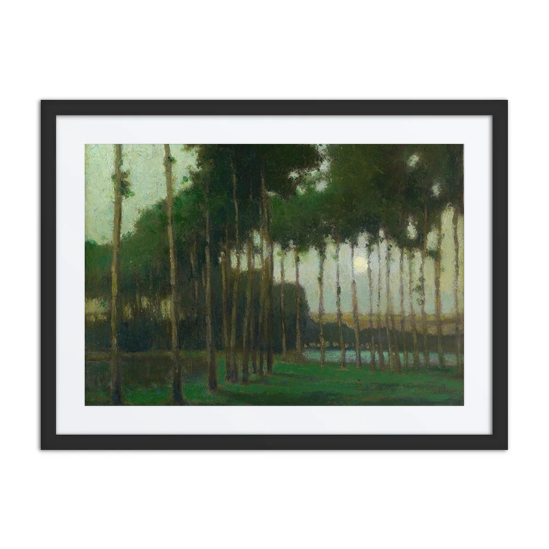 Moonlight Landscape