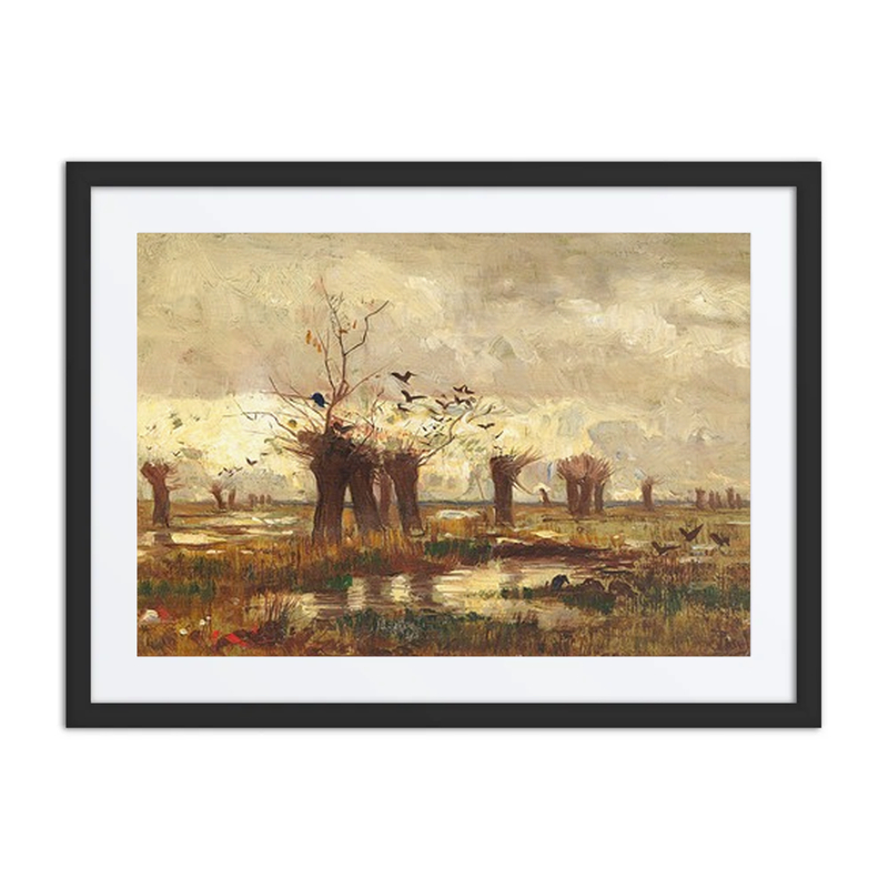 Moorlandschaft Mit Kopfweiden