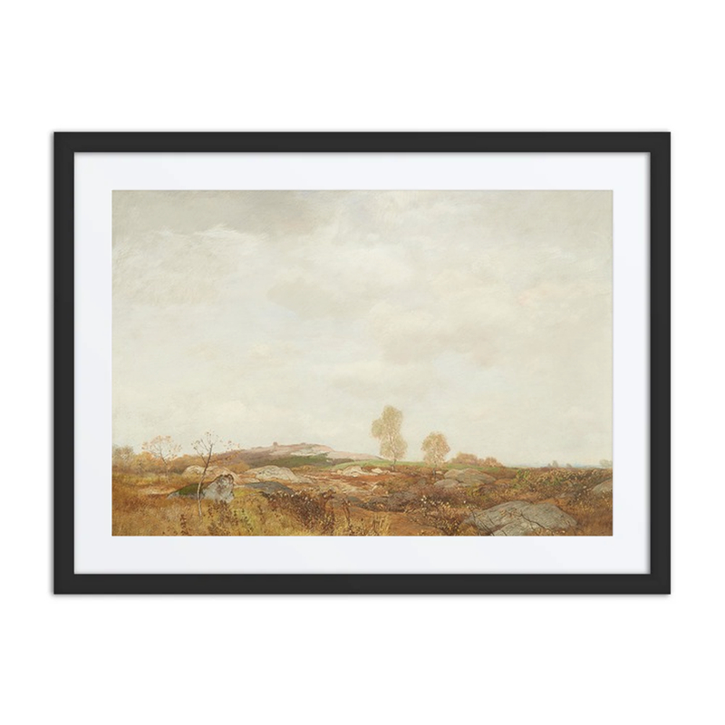 Moorlandschaft