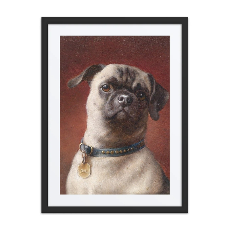 Mops