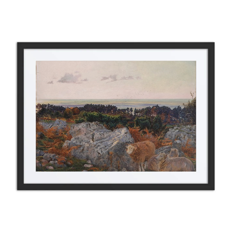 Morecambe Bay from Warton Crag