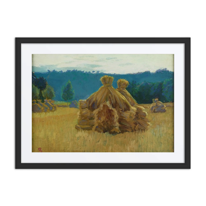 Morning in the Field