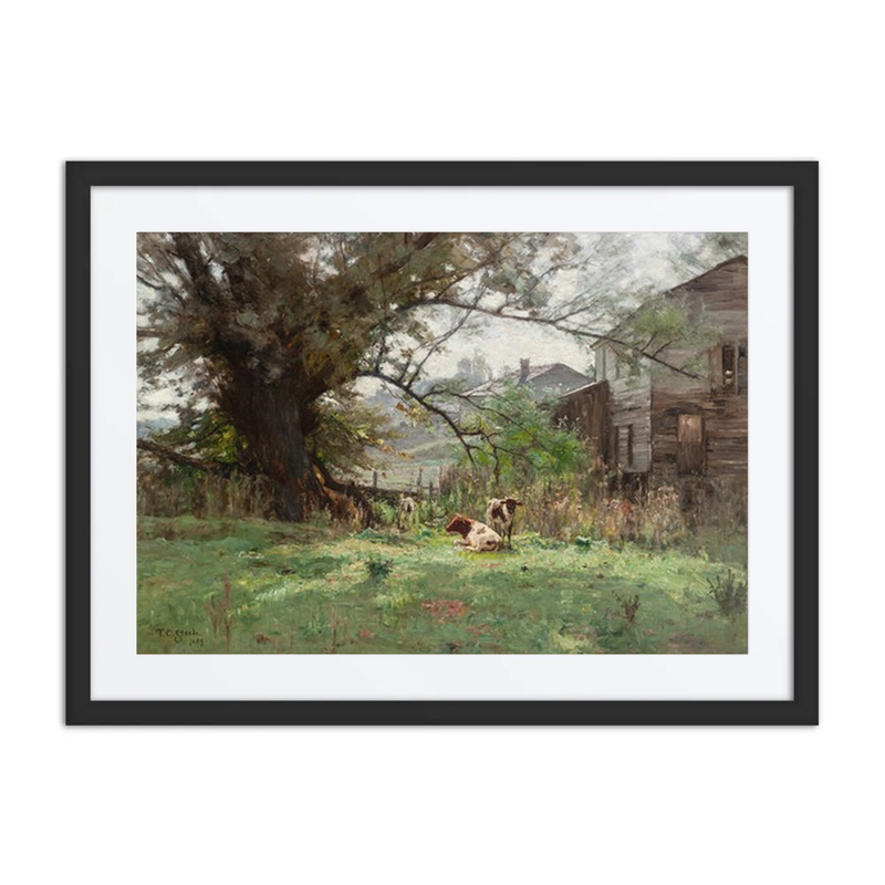 Morning – Old schofield’s Mill