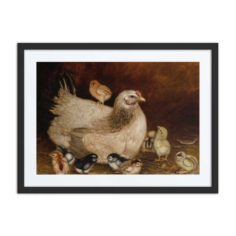 Mother Hen and Chicks