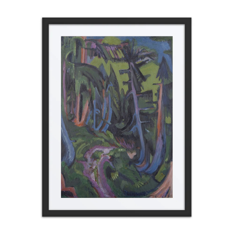 Mountain Forest Path