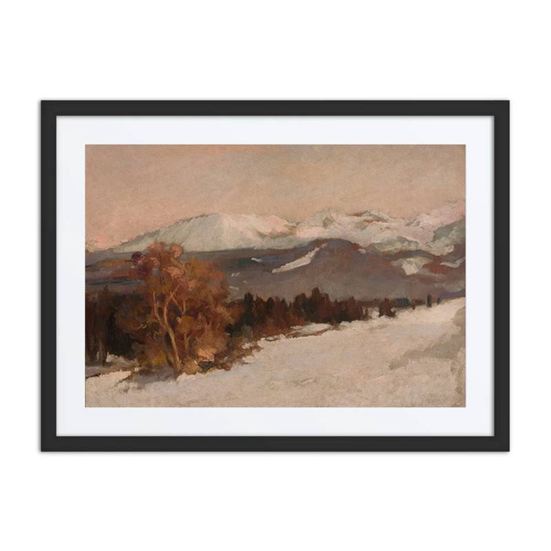 Mountain Landscape in Winter