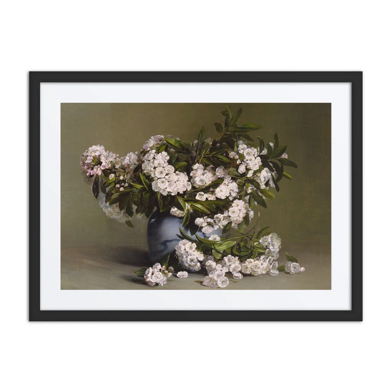 Mountain Laurel
