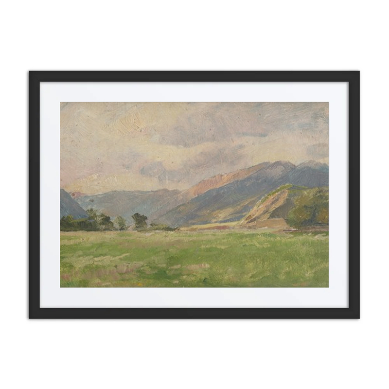 Mountain Meadow