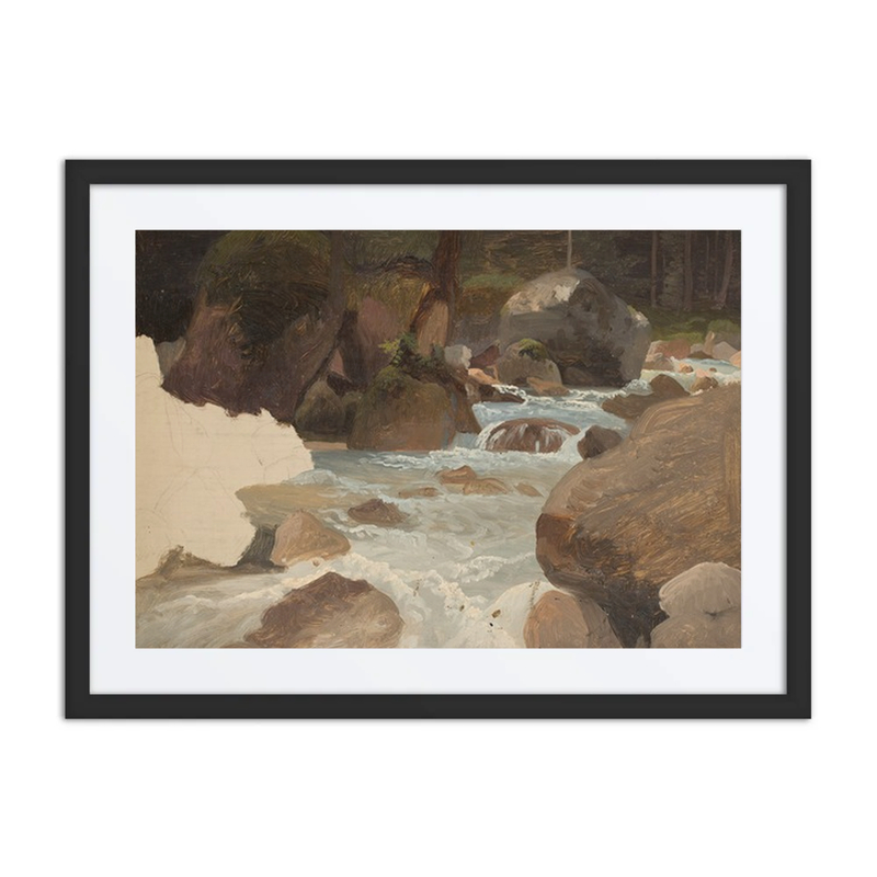 Mountain Stream in Forest