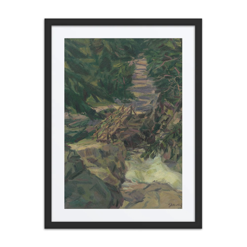 Mountain Stream in the Tatras