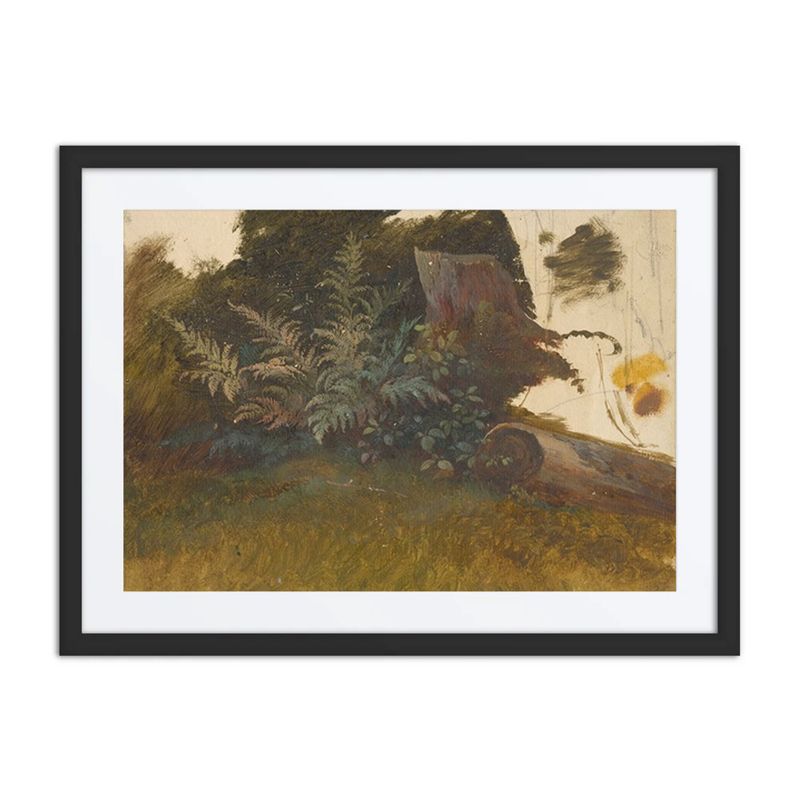 Mountain Vegetation