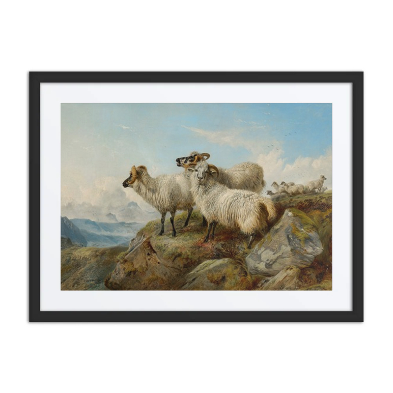 Mountainous Landscape with Sheep