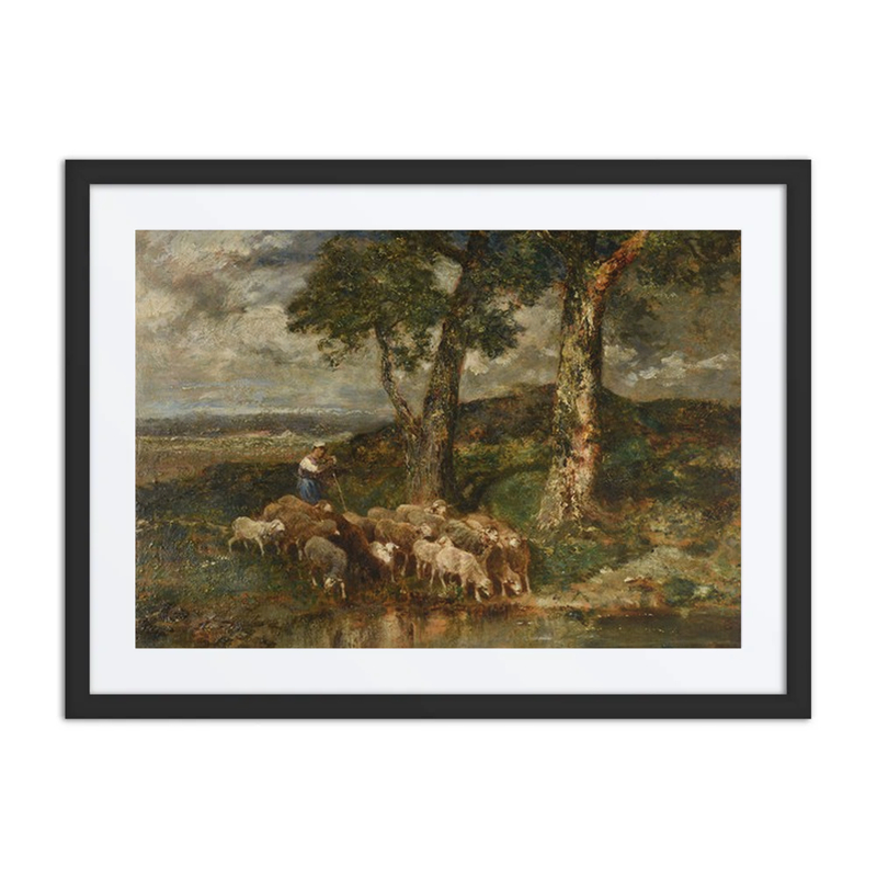 Moutons à l’Abreuvoir