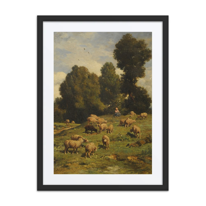 Moutons au Pâturage