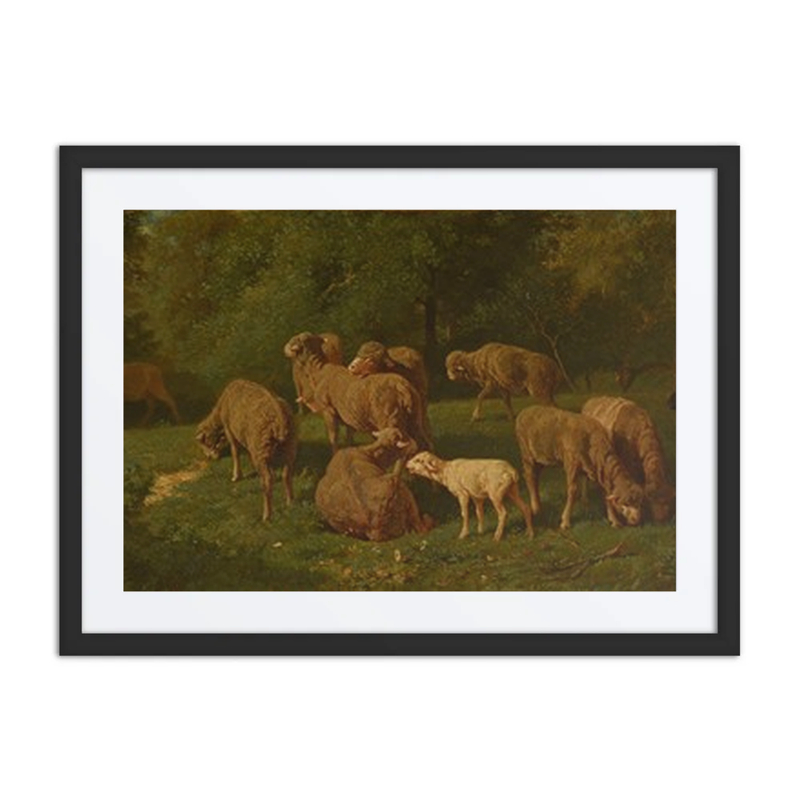 Moutons (Sheep)