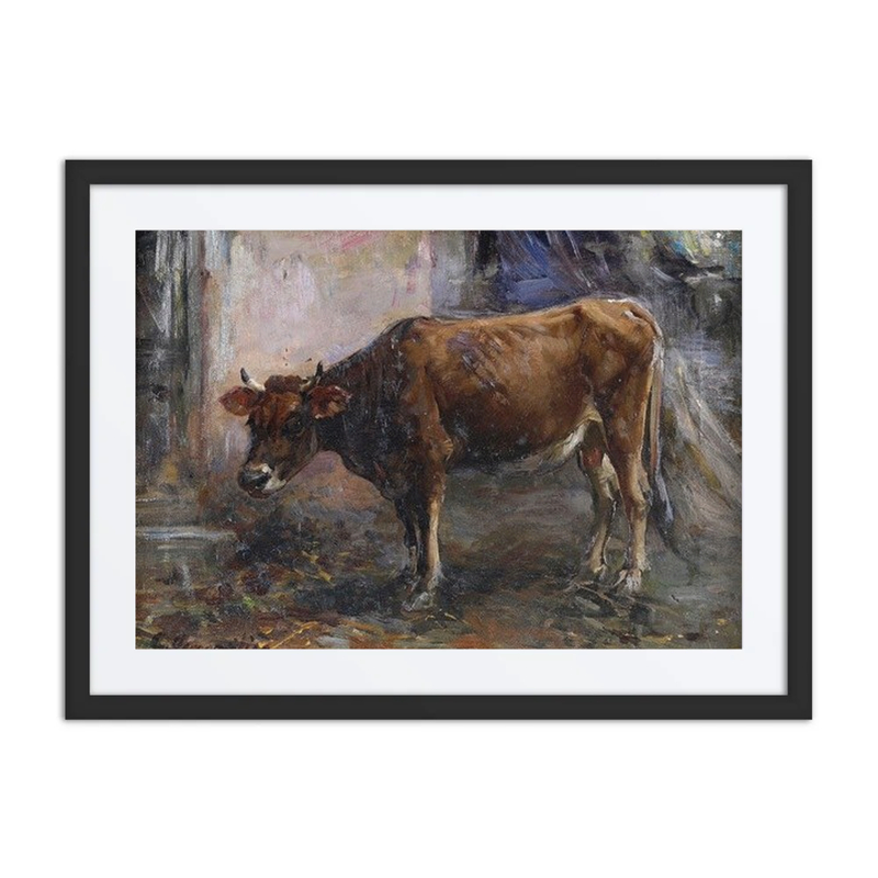Mucca (Cow)