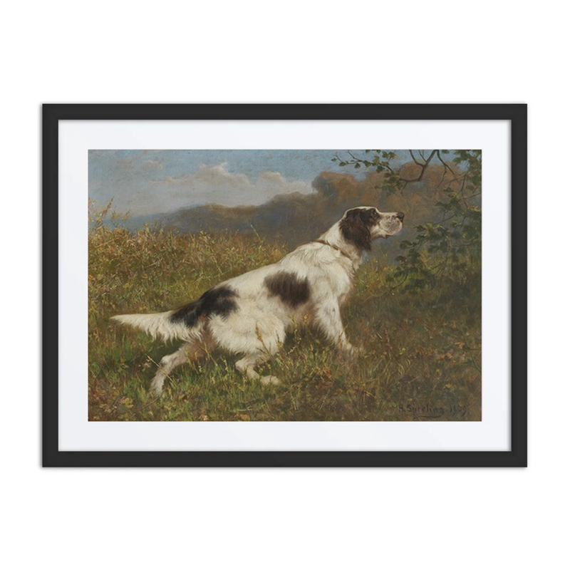 Münsterländer Jagdhund