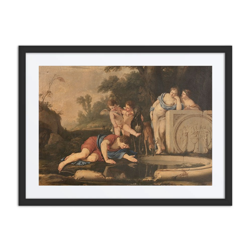 Narcissus