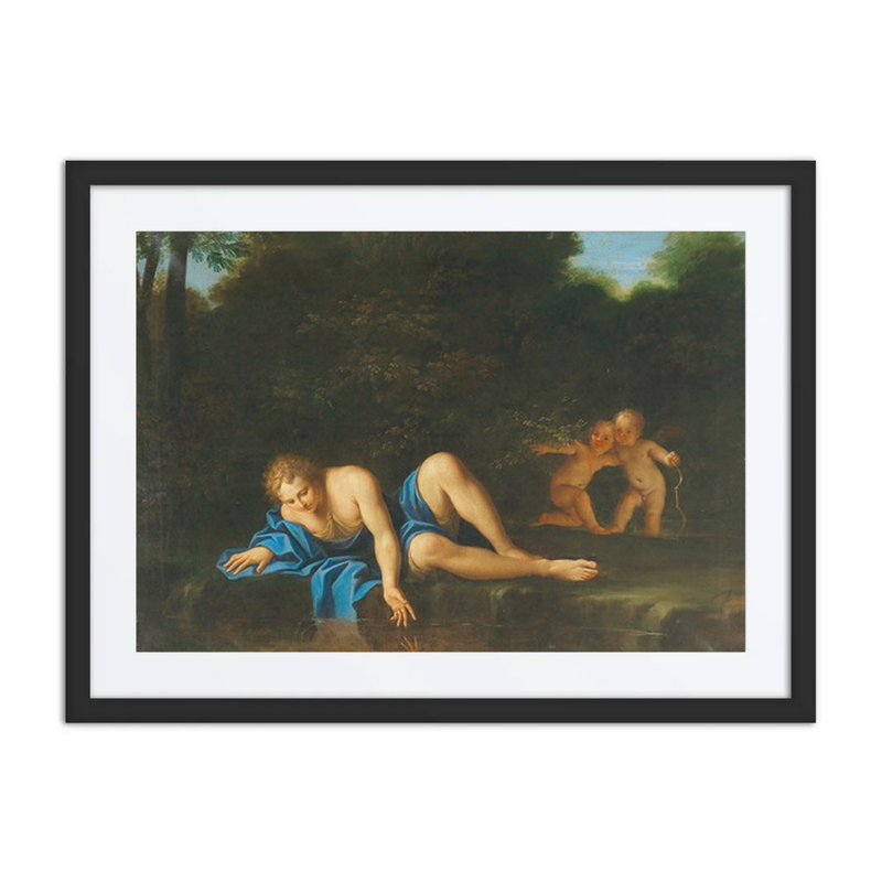 Narcissus