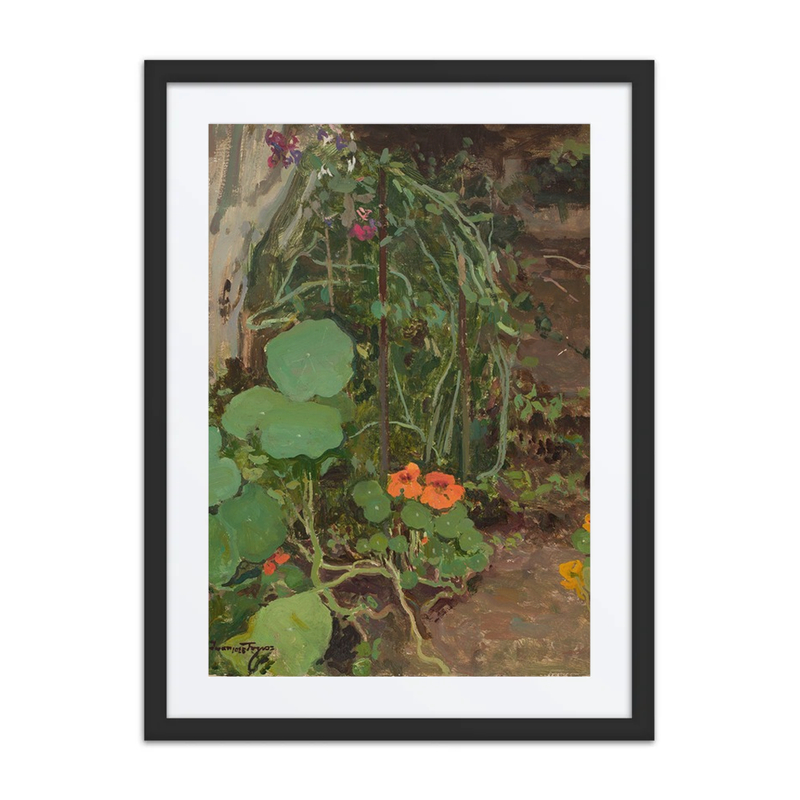 Nasturtiums III