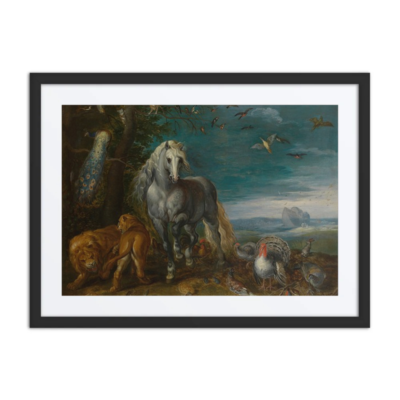 Noah's Ark