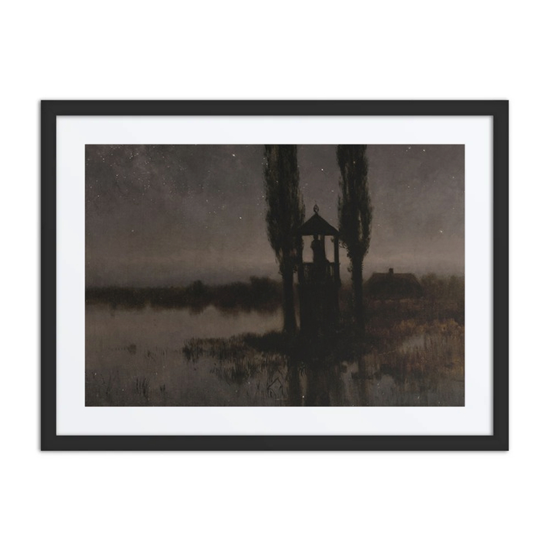 Nocturnal Marshland