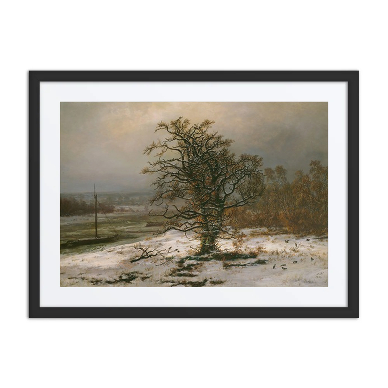 Oak Tree by the Elbe in Winter