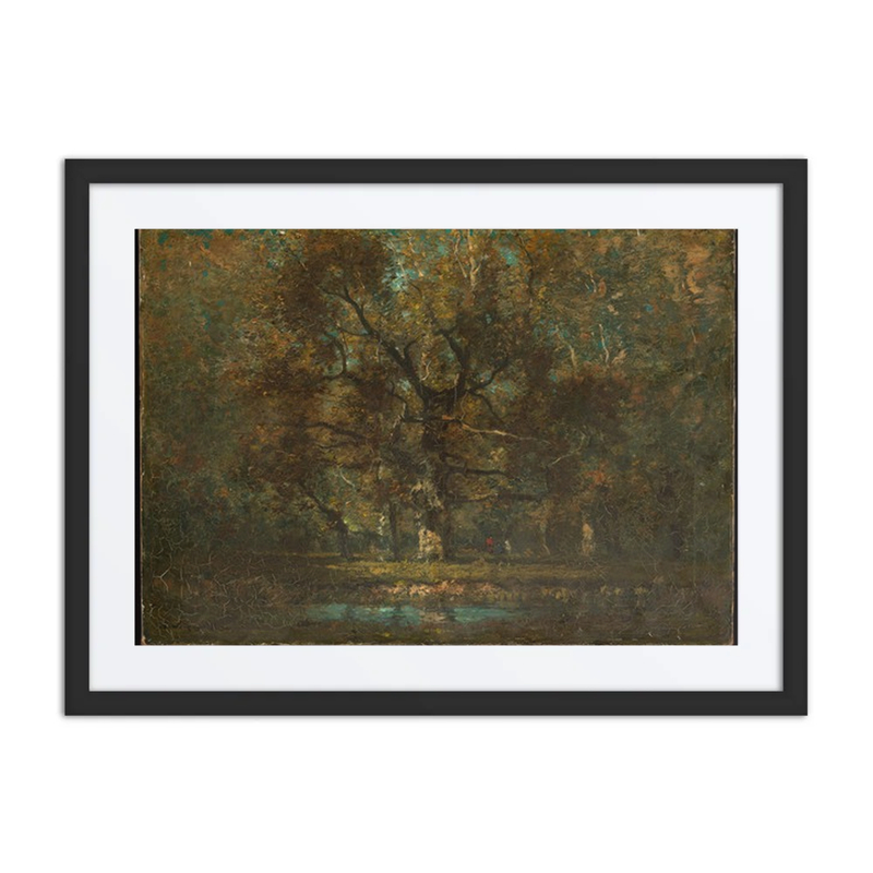 Oak Tree