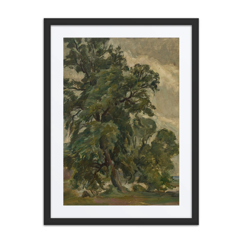 Oak Tree