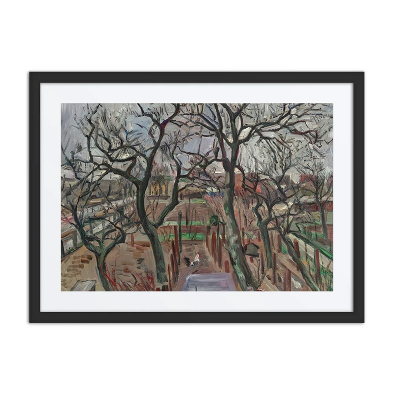 Obstgarten Im Winter