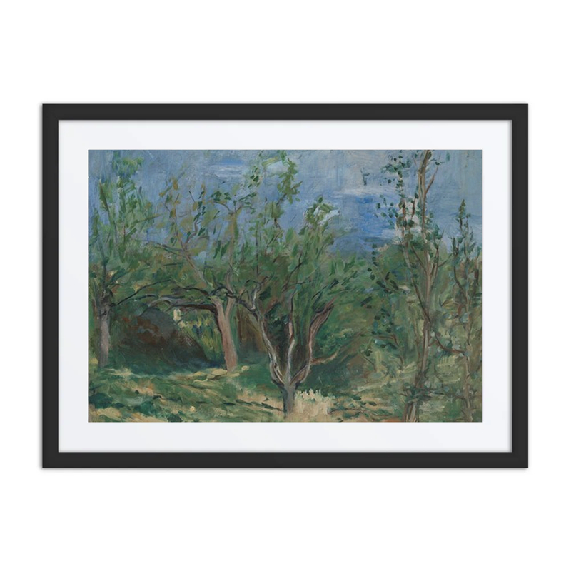 Old Apple Trees