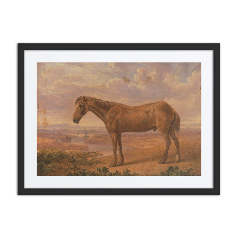 Old Billy, a Draught Horse, Aged 62