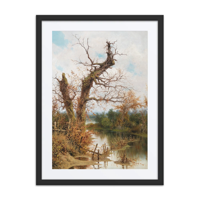 Old Tree by the Stream