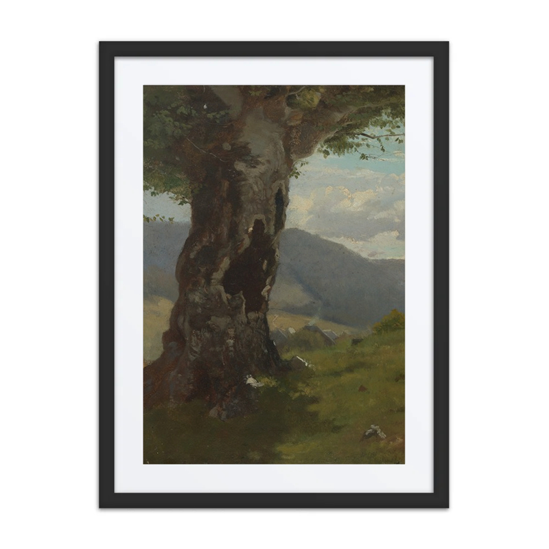 Old Tree Trunk with a View into the Valley