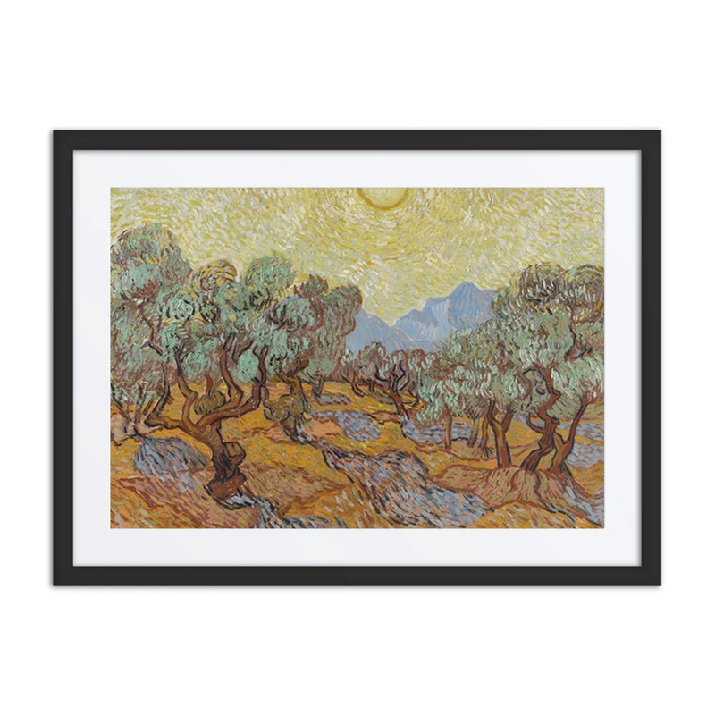 Olive Trees