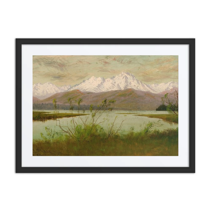 Olympic Range from Skokomis River, Washington