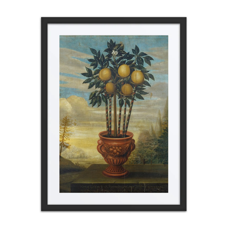 Orange Tree in an Urn