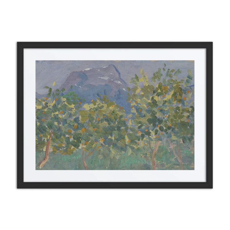 Orange Trees and Distant Mountain