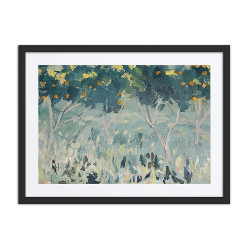 Orange Trees