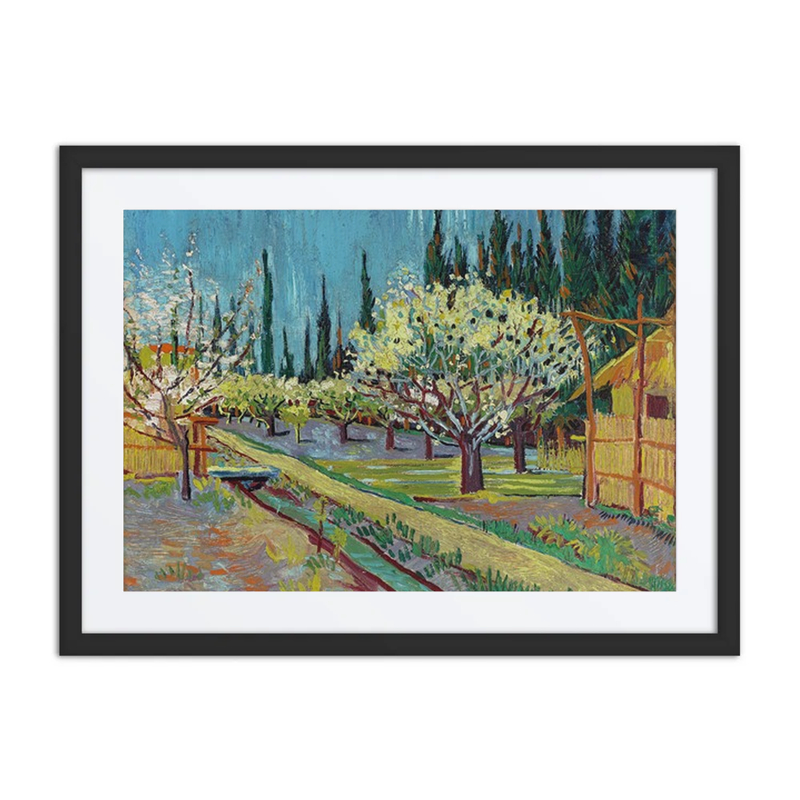 Orchard Bordered by Cypresses