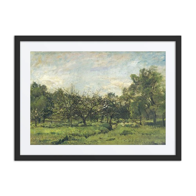 Orchard