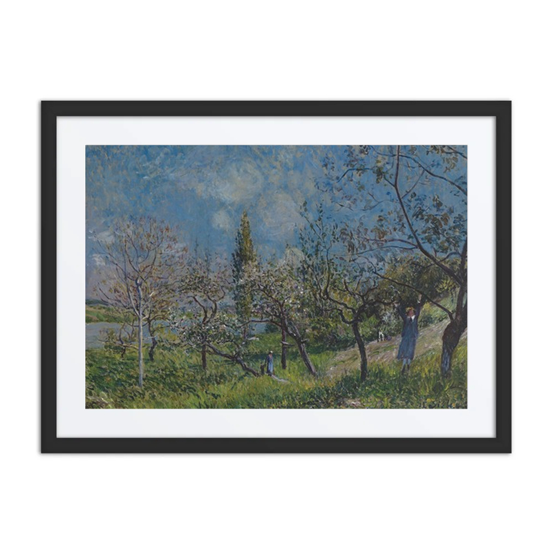 Orchard in Spring