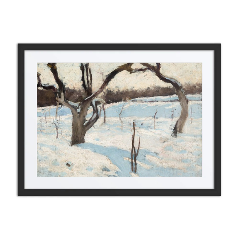 Orchard in Winter