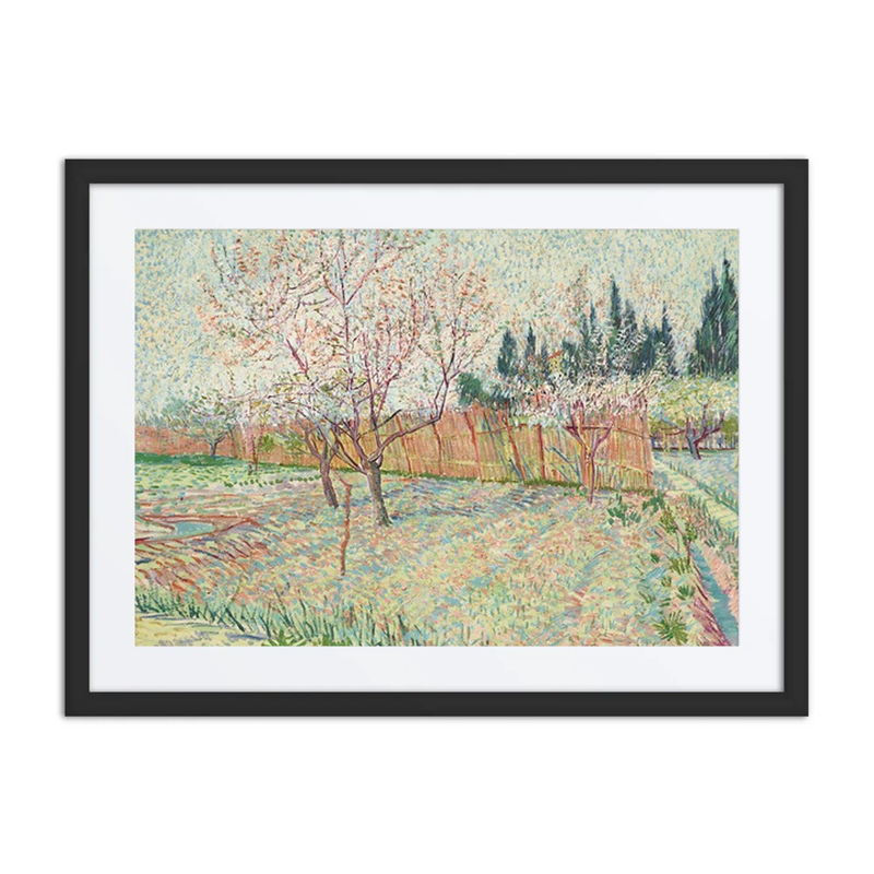 Orchard with Cypress Trees