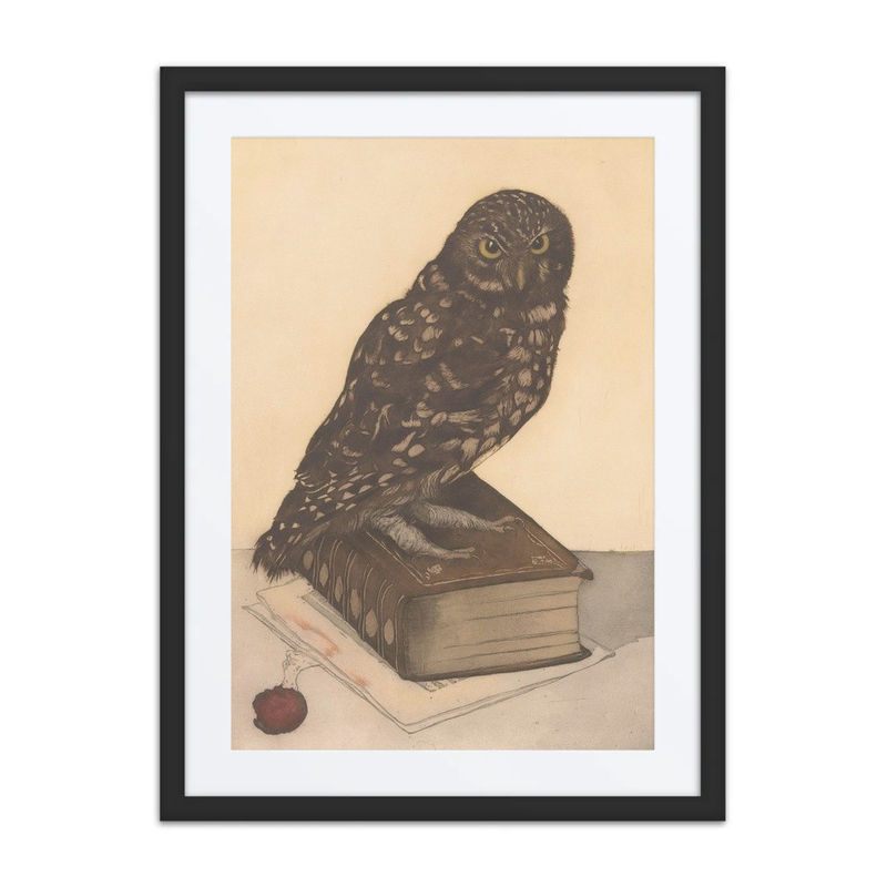 Owl Sitting on a Book