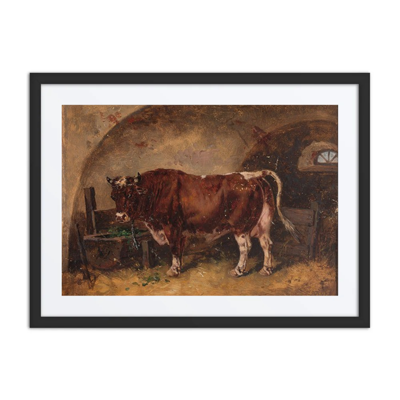 Ox in the Barn