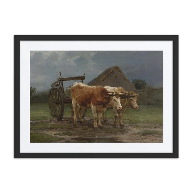 Oxen Pulling a Cart