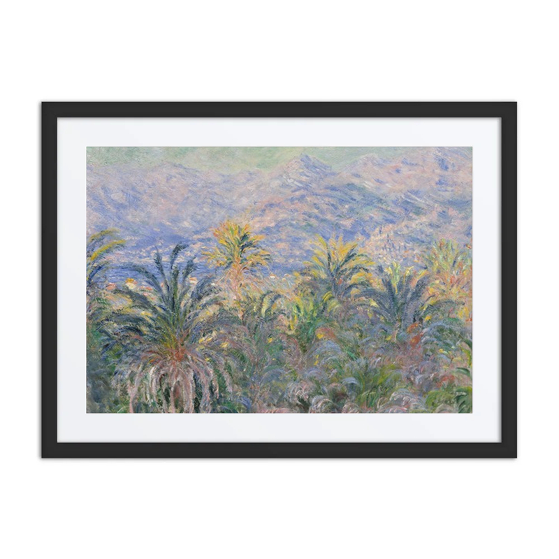 Palm Trees at Bordighera