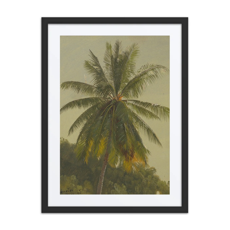 Palm Trees, West Indies
