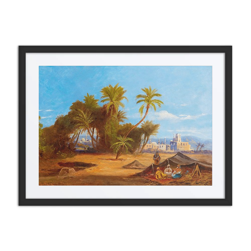 Palm Woodland Near Cairo